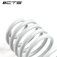 Load image into Gallery viewer, CTS TURBO B8/B8.5 AUDI A4/S4 LOWERING SPRING SET CTS-LS-012