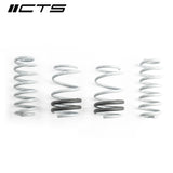 CTS TURBO AUDI 8V S3/RS3 LOWERING SPRINGS  CTS-LS-011