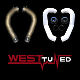 Project Gamma BMW M5 | M6 (F10/F12/F06) DOWNPIPE, INTAKE, FILTERS, AND WEST TUNED PACKAGE