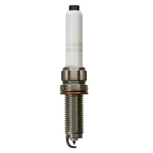 Load image into Gallery viewer, Champion BMW B58 RERX4ZWYPB / OE245 Spark Plug - 12120040551