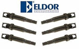 BMW Direct Ignition Coil - Eldor 12138657273