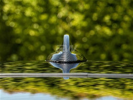 RW Carbon BMW F95 F96 F97 F98 Carbon Fiber Antenna Cover bmwf97013