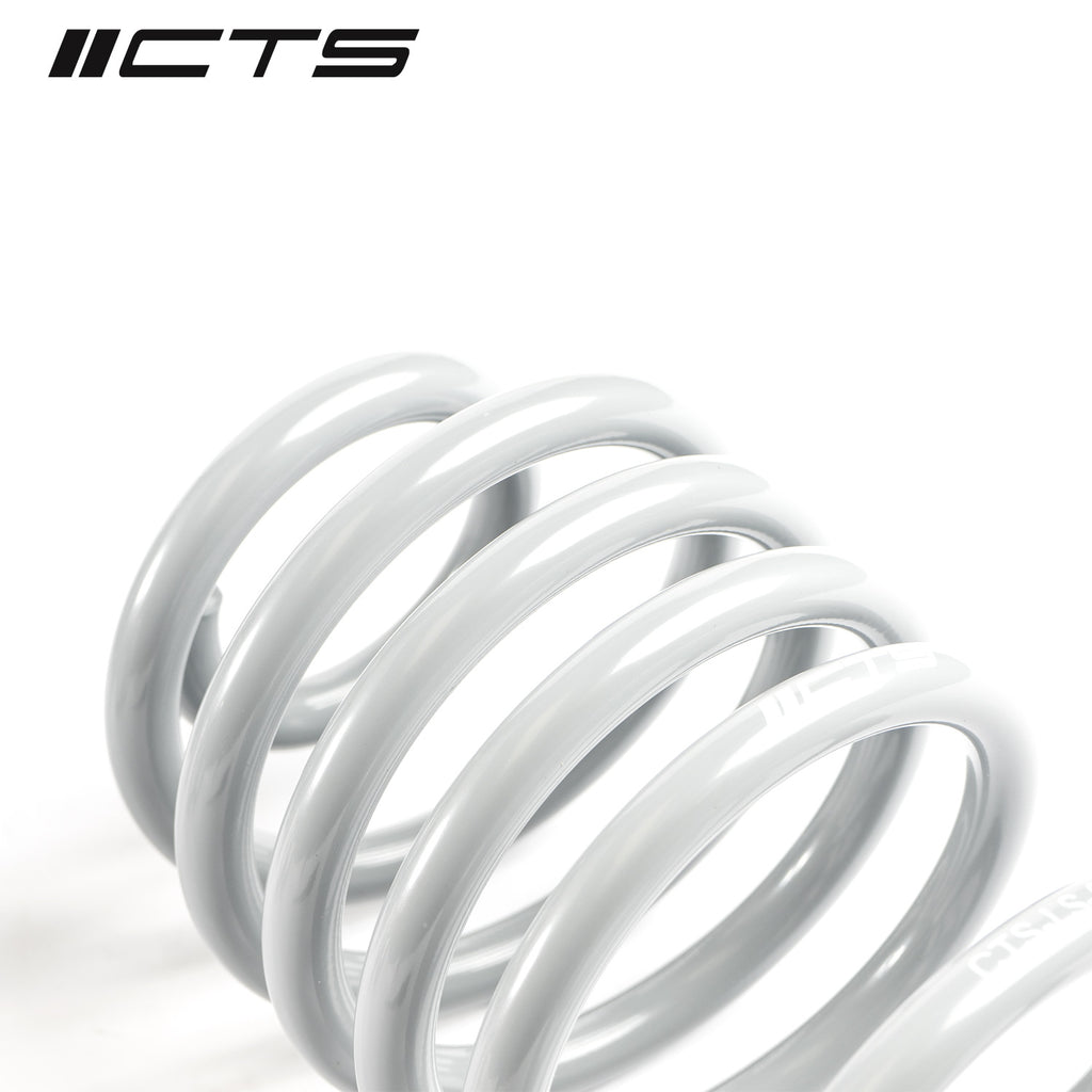 CTS TURBO B8/B8.5 AUDI A4/S4 LOWERING SPRING SET CTS-LS-012