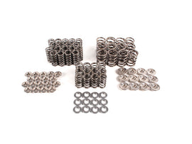 SUPERTECH AUDI 2.7T 5V 6CYL VALVE SPRING KIT SPRK-AUDI27T