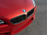 RW Carbon BMW F06 F12 F13 Carbon Fiber Grilles bmwf12003