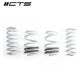 CTS TURBO AUDI 8V S3/RS3 LOWERING SPRINGS  CTS-LS-011