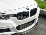 RW Carbon BMW F30 F31 Gloss Black Grilles bmwf30006