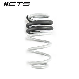 CTS TURBO B8/B8.5 AUDI A4/S4 LOWERING SPRING SET CTS-LS-012