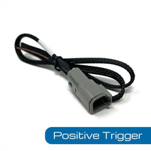 Load image into Gallery viewer, PRECISION RACEWORKS BMW Secondary Pump Activation Harness 201-0049